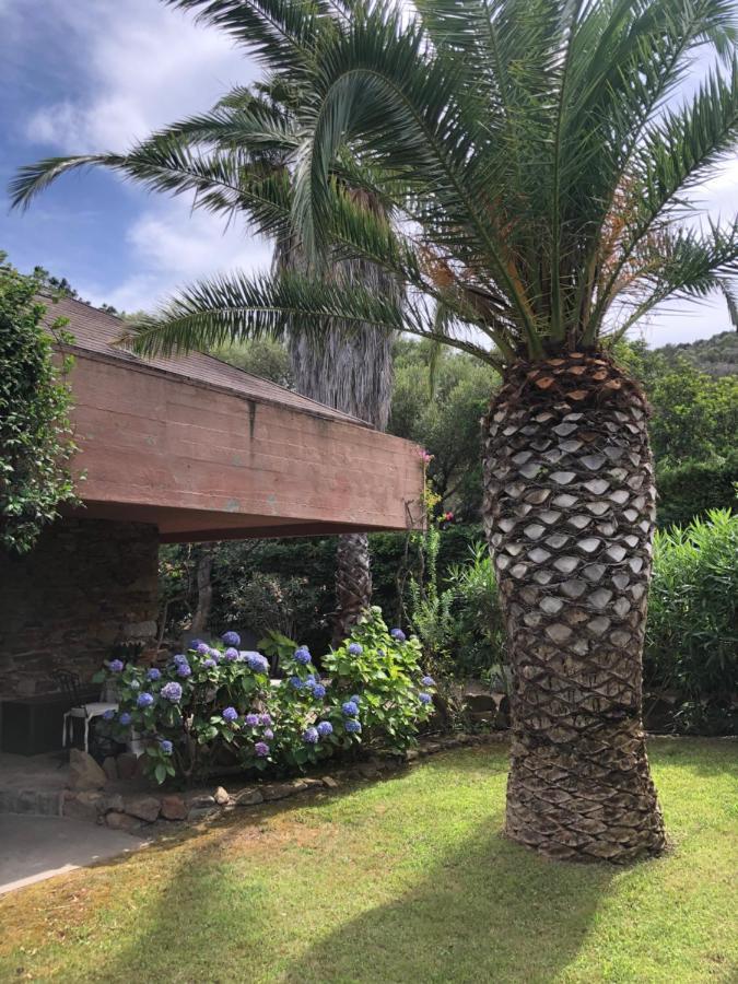 Villa 4 Porto Rotondo Bagian luar foto